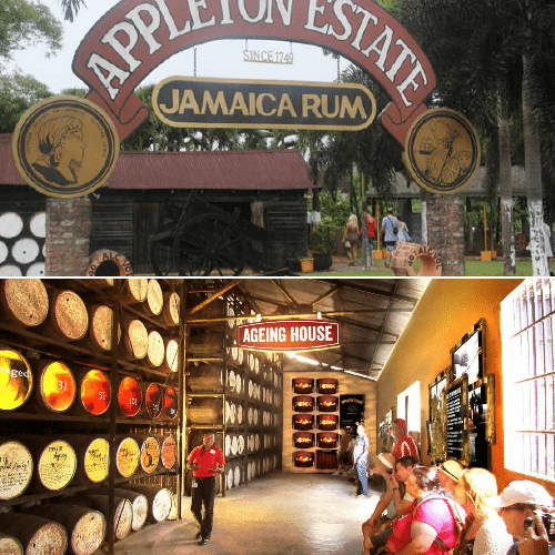 Appleton Estate Jamaica Tourist Attraction