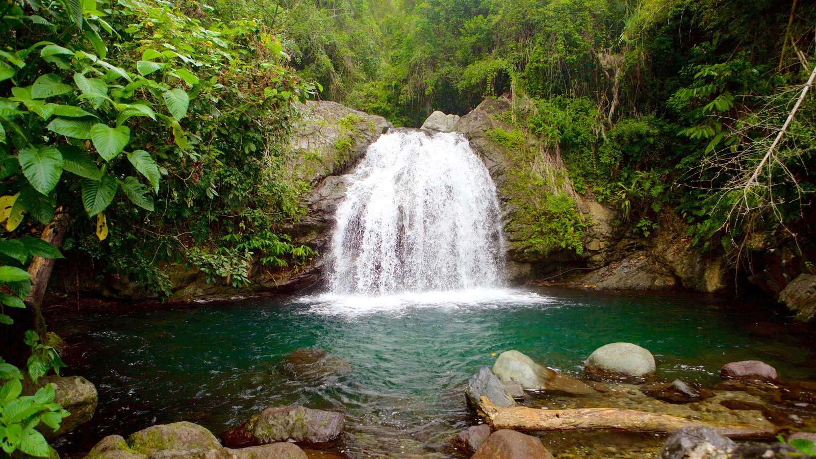 The Blue Mountains in Jamaica | Everything You Need to Know