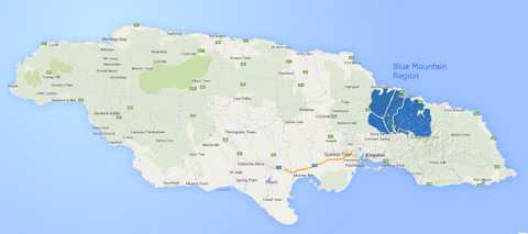 blue mountain on map jamaica