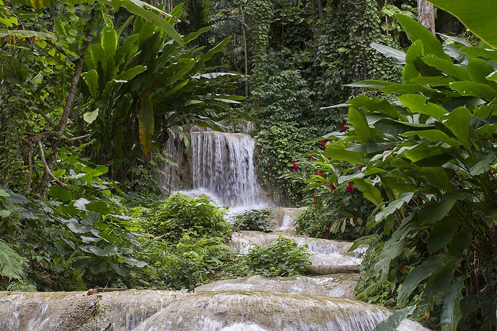 turtle river garden falls jamaica