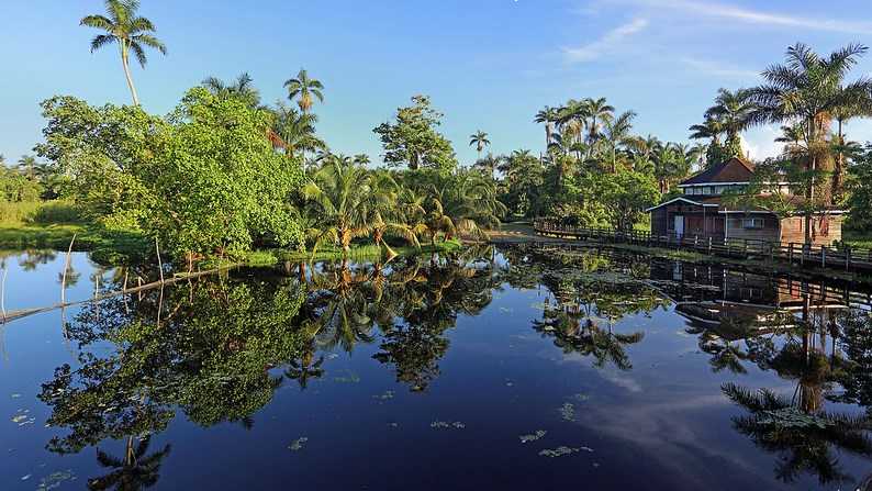 royal palm reserve negril