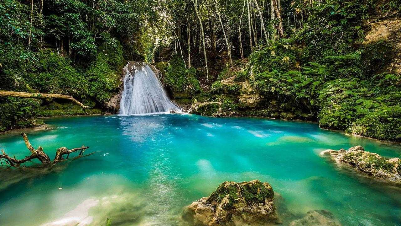natural tourist attractions in jamaica