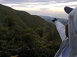 Best of Jamaica Blue Mountain Peak