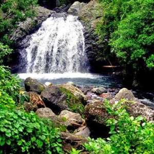 best of jamaica blue mountain jamaica