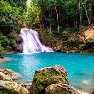 jamaica eco tours