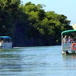 family vacations black river safari jamaica