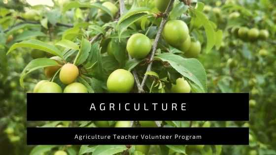 Agriculture Volunteer Program