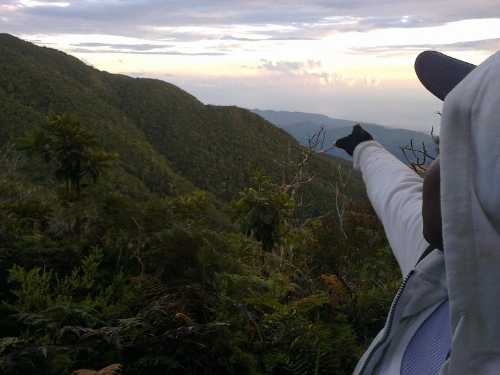 blue mountain jamaica