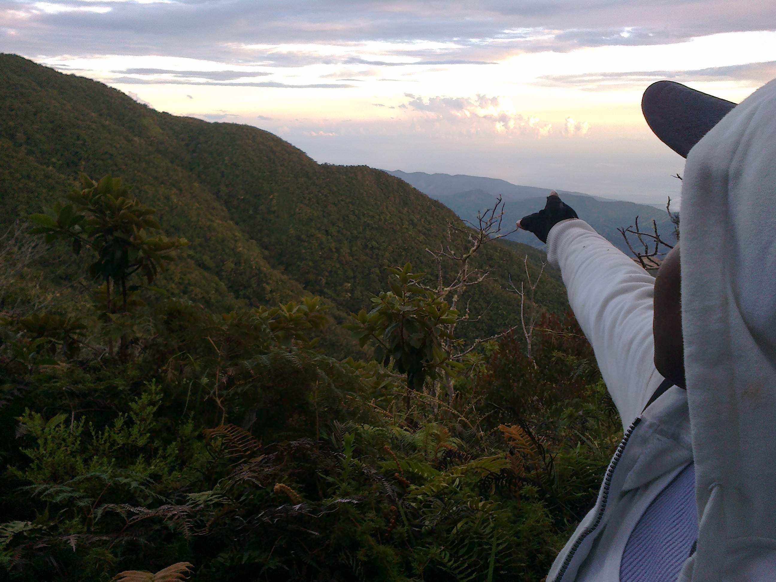 Blue Mountain Hiking Tours in Jamaica | Blue Mountain Peak